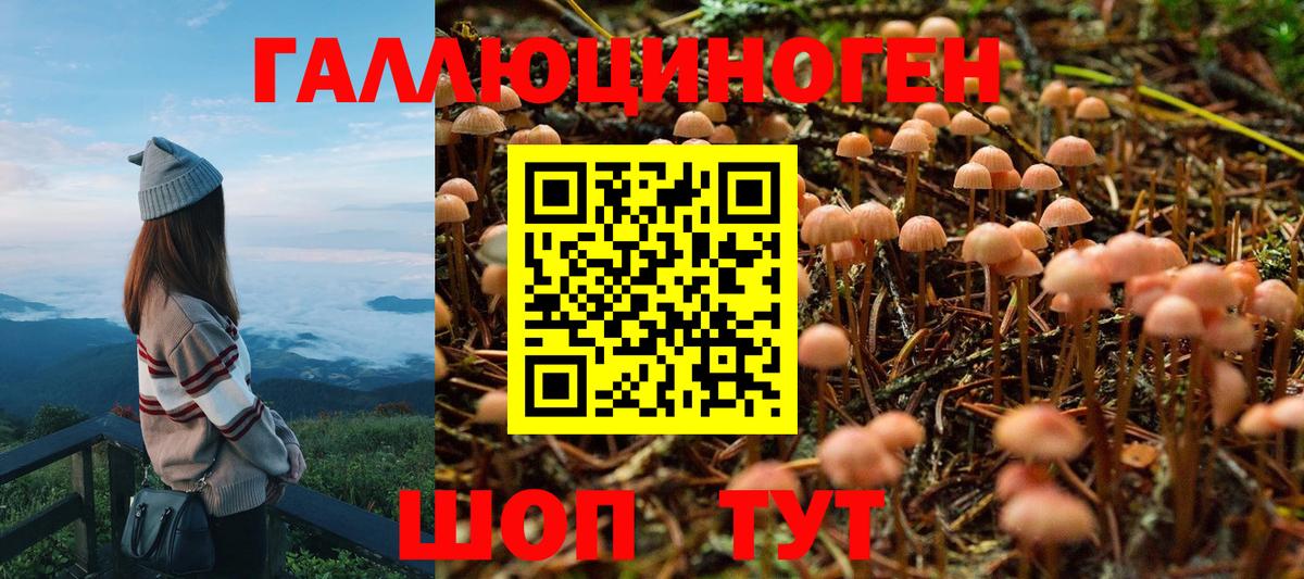 Псилоцибиновые грибы Psilocybine cubensis  Вход с VPN  Галлюциногенные грибы Magic Shrooms  Щёкино 