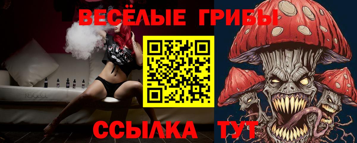 Псилоцибиновые грибы GOLDEN TEACHER Щёкино